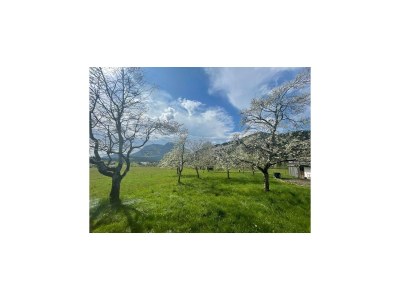 Holiday house Farmhouse in Söll near Wilder Kaiser Ski Area - Outdoor photo 7