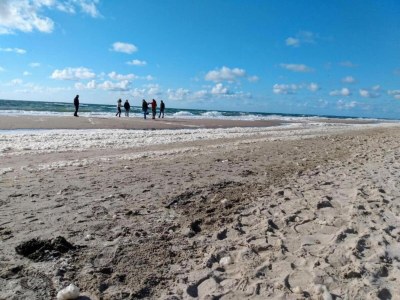 Holiday park Chalet nahe Callantsoog Strand - Environment photo 20