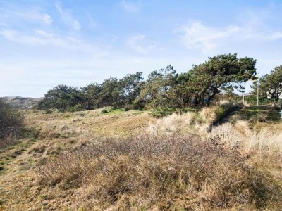 Holiday park Chalet nahe Callantsoog Strand - Environment photo 22