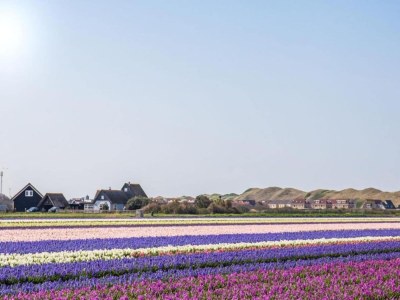 Holiday park Chalet nahe Callantsoog Strand - Environment photo 23