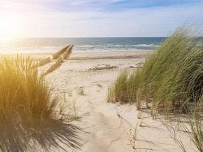 Holiday park Villa in Cadzand-Bad near North Sea Beach - Environment photo 23