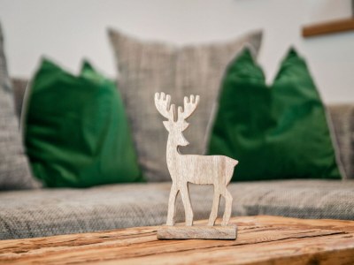 Farmhouse Chalet in Bramberg nahe Wildkogel Arena - Features photo 15