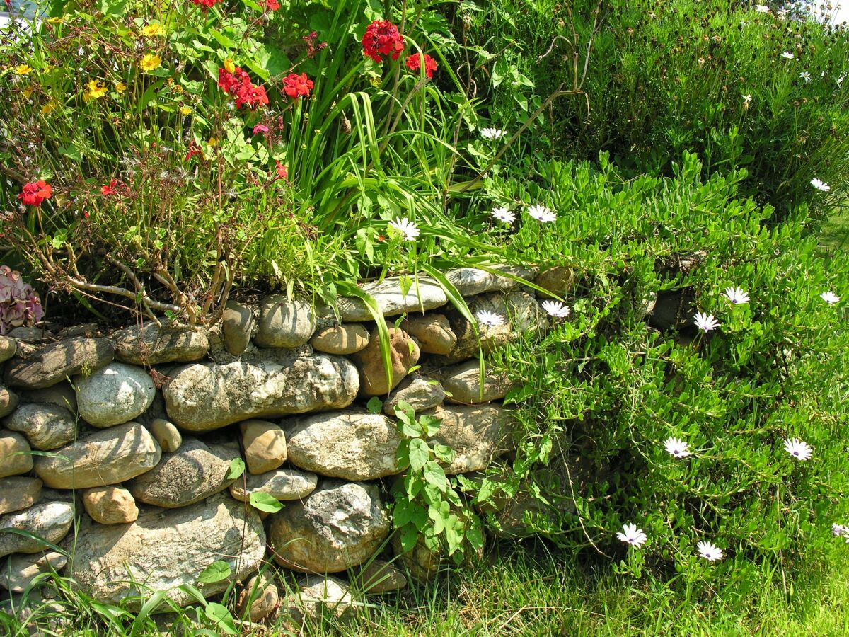 Holiday park Ferienhaus Moriani-Plage mit Pool - Outdoor photo 5