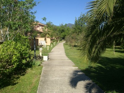 Holiday park Ferienhaus Moriani-Plage mit Pool - Outdoor photo 38