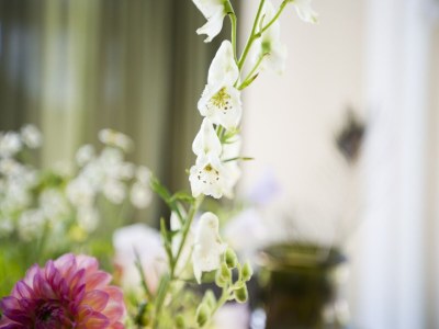 Holiday park Terraced Home in Netherlands near Veluwe - Outdoor photo 32