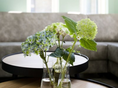 Holiday park Terraced Home in Netherlands near Veluwe - Outdoor photo 37