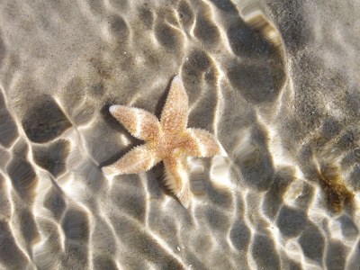 Holiday house Marianne - Environment photo 23