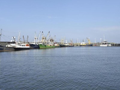 Holiday park Elegant Wieringer Villa - Environment photo 24