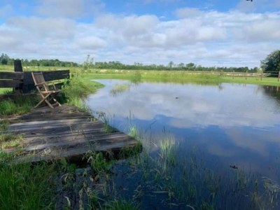 Holiday park Elegant Wieringer Villa - Environment photo 27