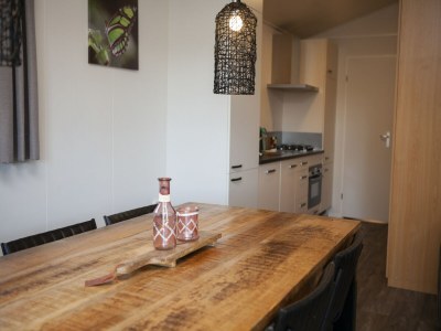 Holiday park Chalet in Netherlands with Private Sauna - Features photo 9