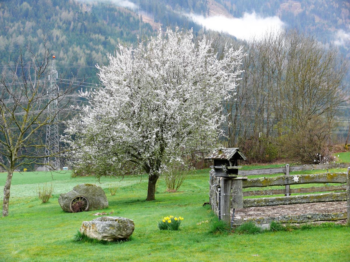 Holiday apartment Elke & Richard Wagner - Outdoor photo 2