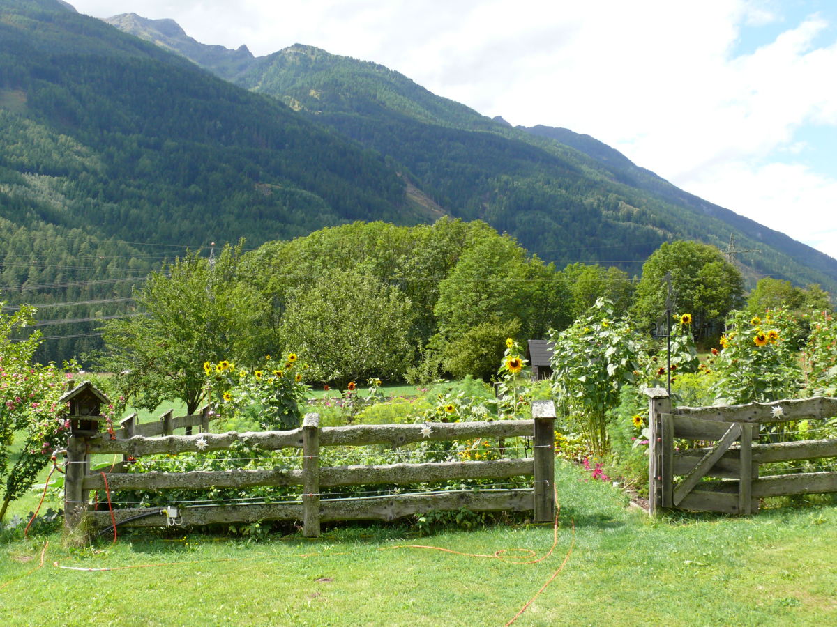 Holiday apartment Elke & Richard Wagner - Outdoor photo 4