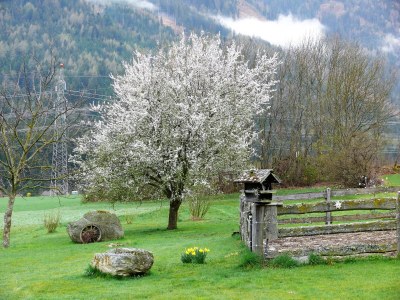 Holiday apartment Elke & Richard Wagner - Outdoor photo 2