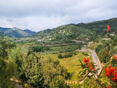 Holiday park Haus-Nr: ISI01235-F - Outdoor photo 9