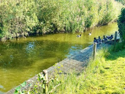 Holiday park Bungalow in Zeebad nahe dem Strand - Environment photo 9