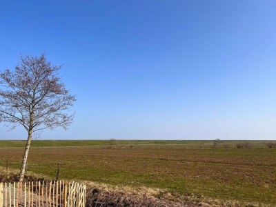 Holiday park Villa im Wieringer Stil mit Whirlpool - Environment photo 29