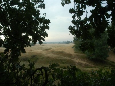 Holiday park Gruppenvilla in den Niederlanden mit Privatsphäre - Environment photo 23