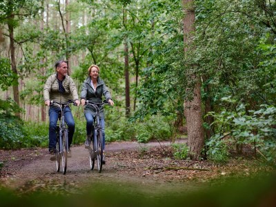 Holiday park Romantische Wellness-Auszeit - Environment photo 22