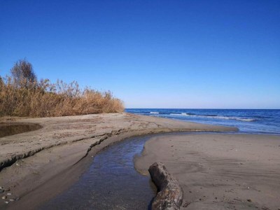 Holiday park Ferienhaus in Moriani-Plage am Strand - Environment photo 20