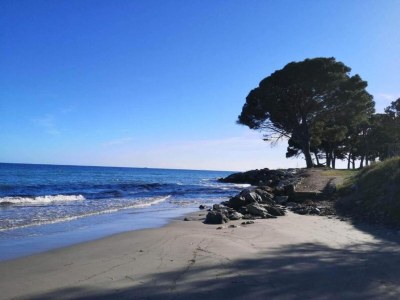 Holiday park Ferienhaus in Moriani-Plage am Strand - Environment photo 21