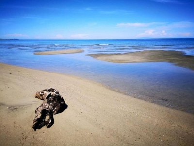 Holiday park Ferienhaus in Moriani-Plage am Strand - Environment photo 27