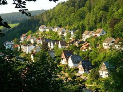 Apartment Ferienwohnung im Haus Schiefertal, Wieda - Environment photo 18