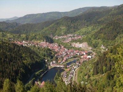 Apartment Ferienwohnung im Haus Schiefertal, Wieda - Environment photo 19