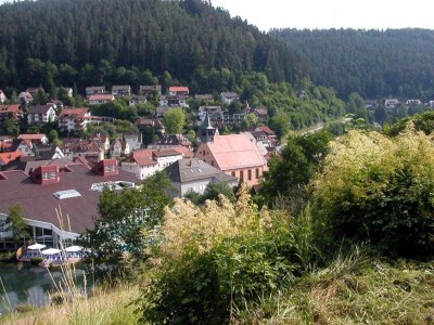 Apartment Ferienwohnung im Haus Schiefertal, Wieda - Environment photo 22