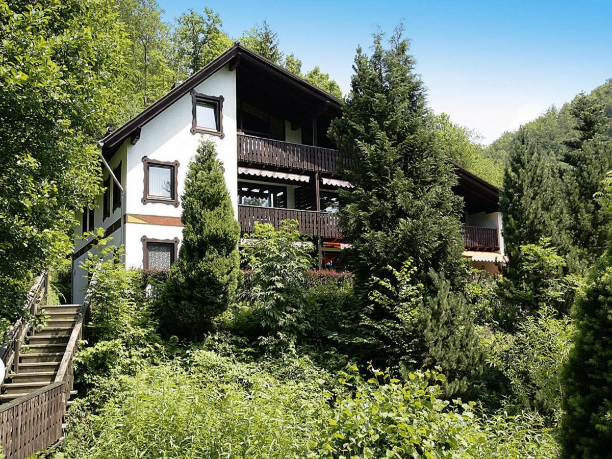 Apartment Ferienwohnung im Haus Schiefertal, Wieda