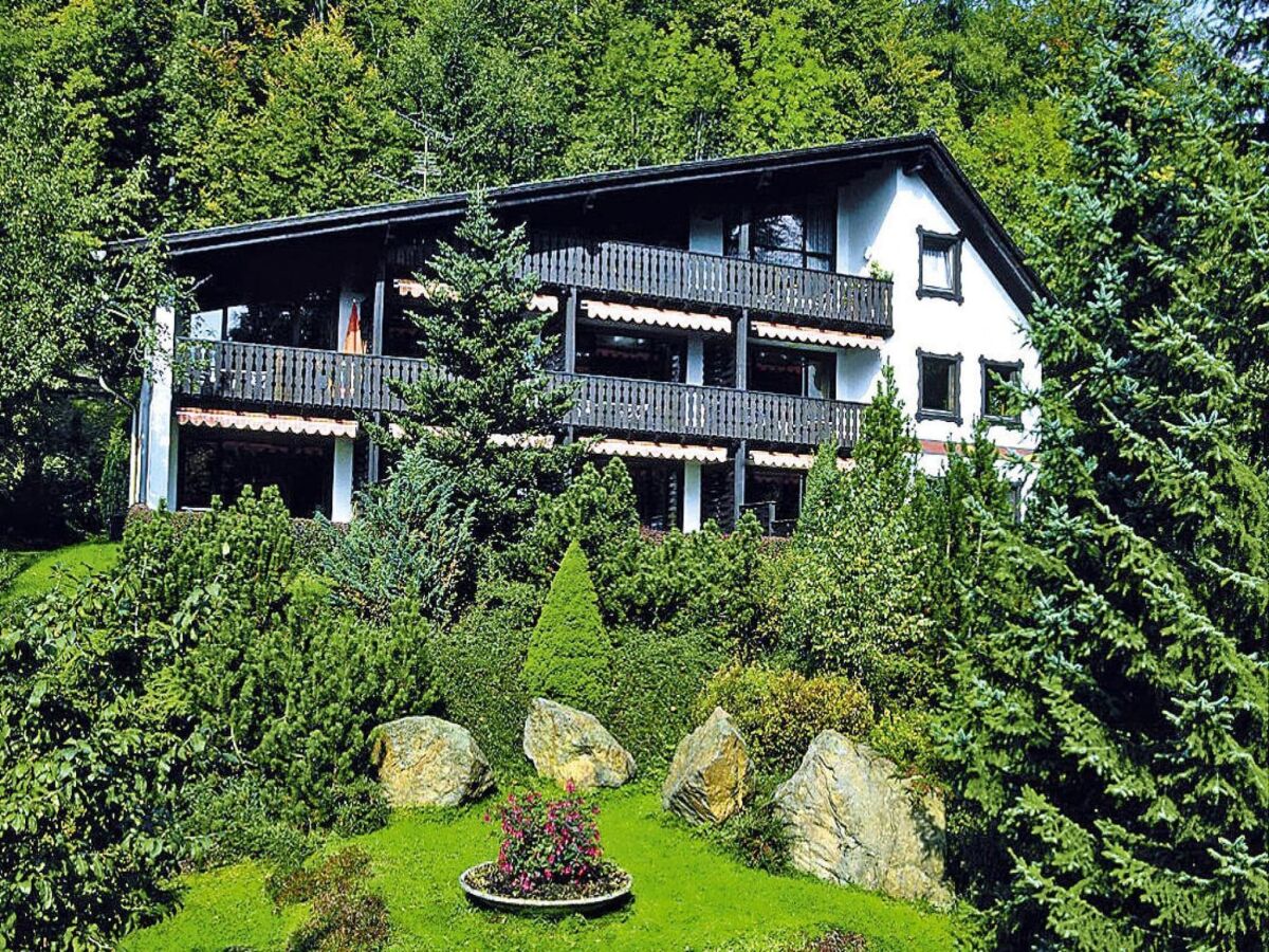 Apartment Ferienwohnung im Haus Schiefertal, Wieda - Outdoor photo 2