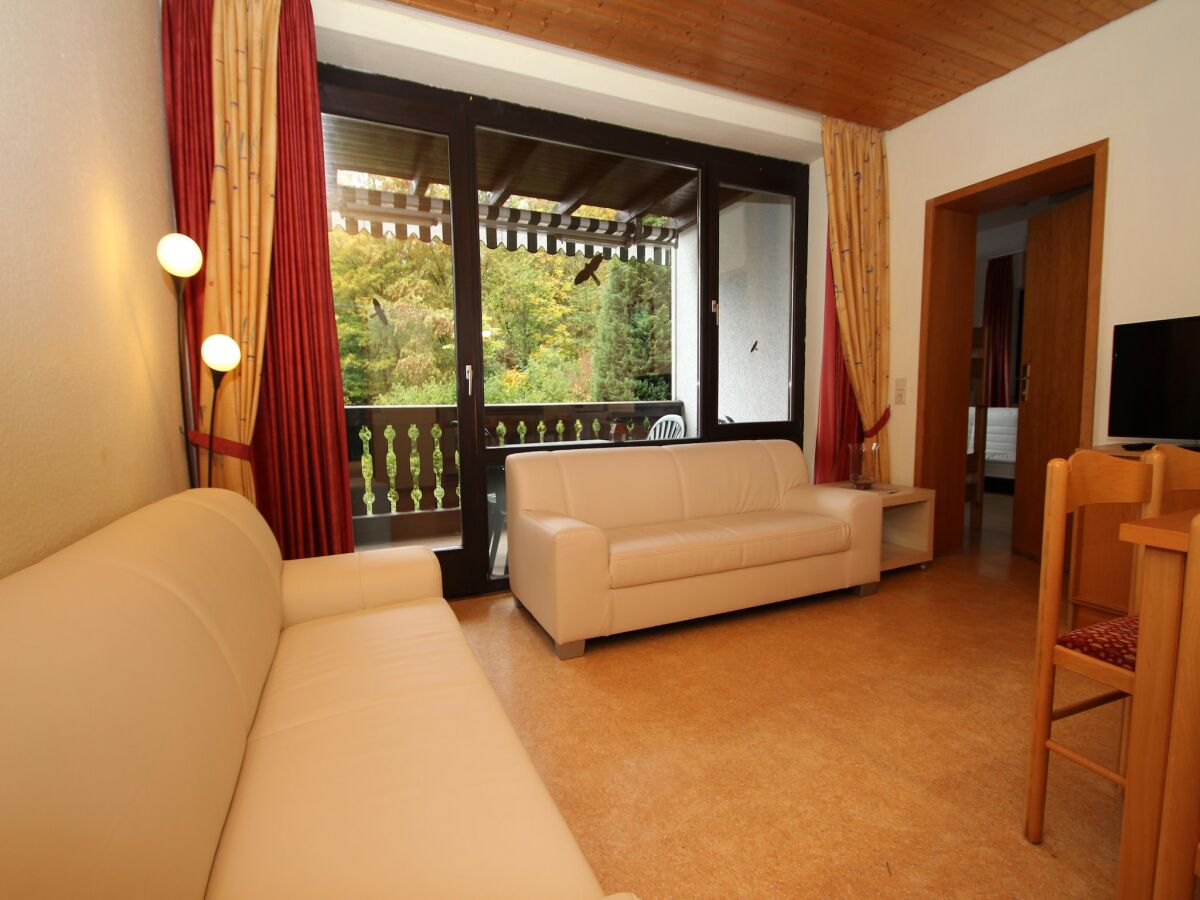 Apartment Ferienwohnung im Haus Schiefertal, Wieda - Features photo 3