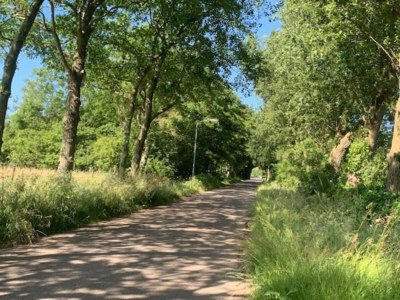 Holiday park Chalet in Wiringherlant near the Coast - Environment photo 31