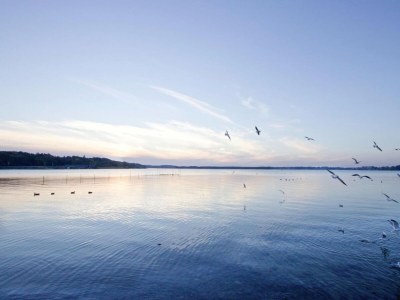 Holiday park Apartments im Maremüritz Marina Resort - Outdoor photo 25