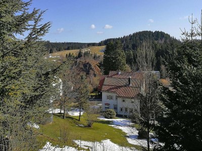 Apartment Wohnung in Altenau nahe Harzgebirge - Features photo 15