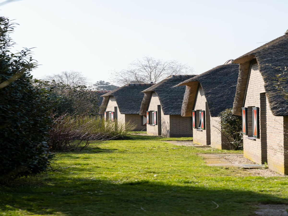 Holiday park Bungalow in Veluwe Nature Park Retreat - Outdoor photo 4