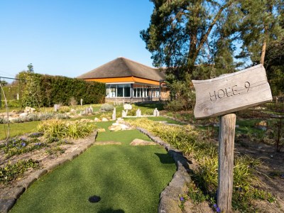 Holiday park Bungalow in Veluwe mit Infrarotsauna - Outdoor photo 35