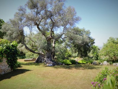 Villa Artemis - Environment photo 40