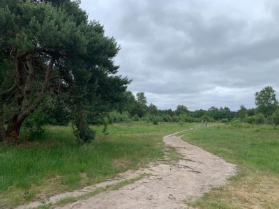 Holiday park Bungalow in Veluwe bei Harderwijk - Environment photo 15