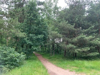 Holiday park Bungalow in Veluwe mit Sauna & Naturblick - Environment photo 12