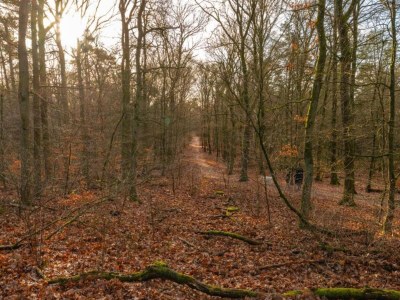 Holiday park Chalet in der Nähe von Wanderwegen und Wald - Environment photo 8