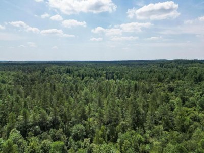 Holiday park Chalet in der Nähe von Wanderwegen und Wald - Environment photo 9