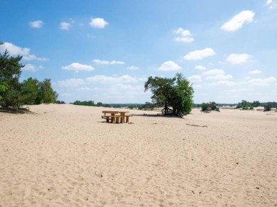 Holiday park Chalet in der Nähe von Wanderwegen und Wald - Environment photo 12