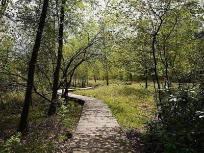 Holiday park Chalet in der Nähe von Wanderwegen und Wald - Environment photo 16