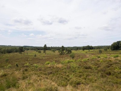 Holiday park Chalet in der Nähe von Wanderwegen und Wald - Environment photo 17