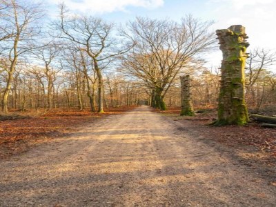 Holiday park Chalet in der Nähe von Wanderwegen und Wald - Environment photo 19