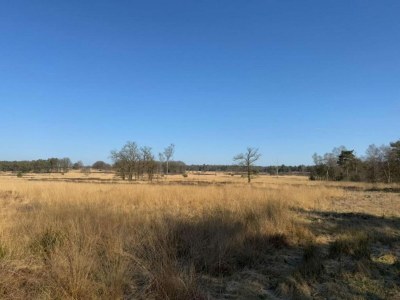 Holiday park Chalet in der Nähe von Wanderwegen und Wald - Environment photo 20