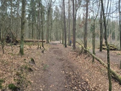 Holiday park Chalet in der Nähe von Wanderwegen und Wald - Environment photo 21