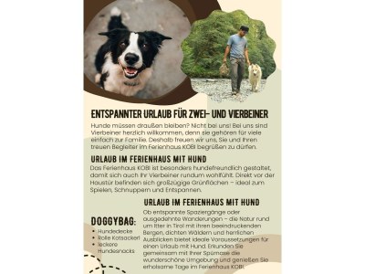 Holiday house Chalet in Mühltal near Kitzbühel Ski Slopes - Outdoor photo 13