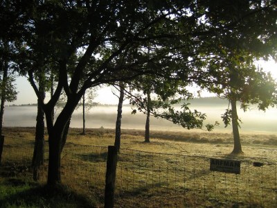 Holiday park Hoenderloo Getaway with Pool - Environment photo 10