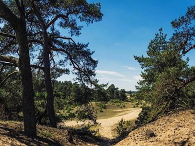 Holiday park Hoenderloo Getaway with Pool - Environment photo 12